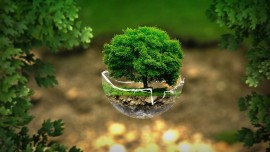Fondazione Golinelli in collaborazione con Legambiente e Alce Nero lancia il ciclo di webinar Green Life: L'urgenza di cambiare