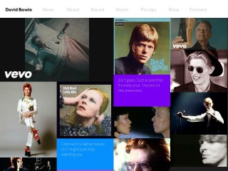 Screenshot sito: David Bowie