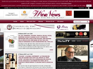 Screenshot sito: WineNews.it