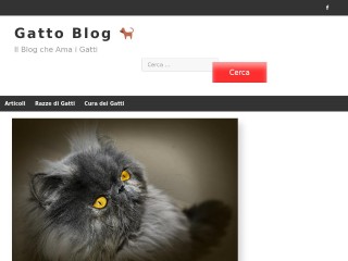 Screenshot sito: Gattoblog.it