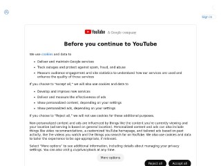 Screenshot sito: YouTube Beginners Guide