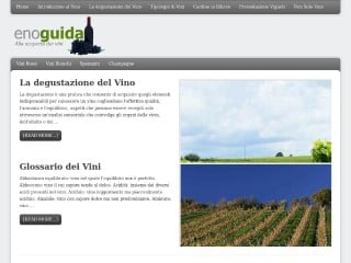 Screenshot sito: Enoguida.com