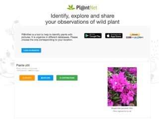Plantnet Project