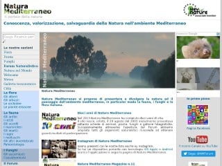 Screenshot sito: Natura Mediterraneo