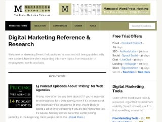 Screenshot sito: Marketing terms.com