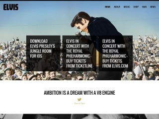 Screenshot sito: Elvis Presley