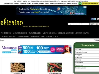 Screenshot sito: Elicriso