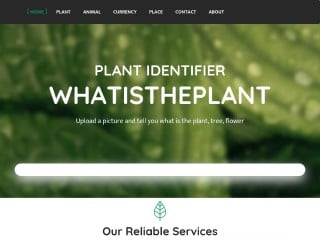 Screenshot sito: What is the Plant
