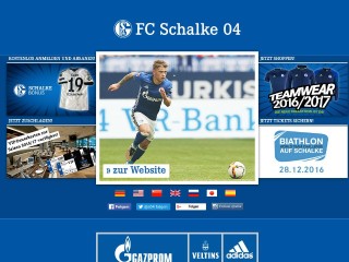 Screenshot sito: Schalke 04