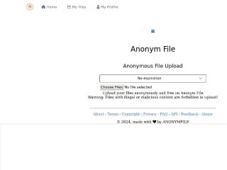 Screenshot sito: Anonym File