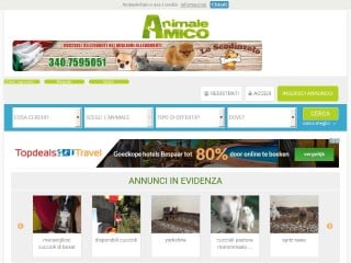 Screenshot sito: AnimaleAmico.com