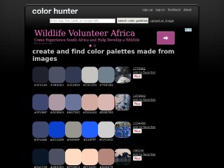 Screenshot sito: Color Hunter