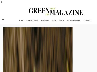 Screenshot sito: Green Magazine