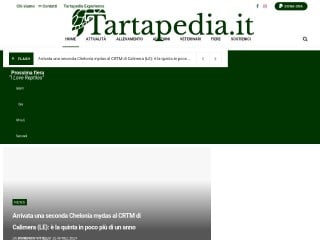 Tartapedia