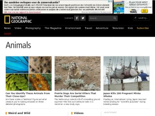 Screenshot sito: Wildlife filmmaker