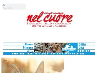Screenshot sito: Nelcuore.org