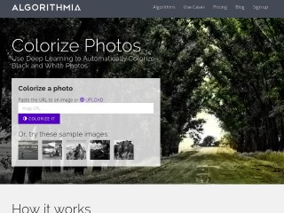 Screenshot sito: Algorithmia Colora Foto