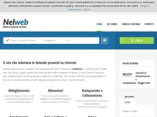 Screenshot sito: NelWeb.biz