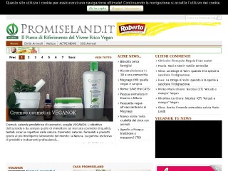 Screenshot sito: Promiseland.it