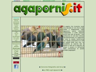 Screenshot sito: Agapornis.it