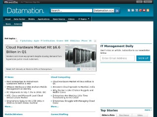 Screenshot sito: It management