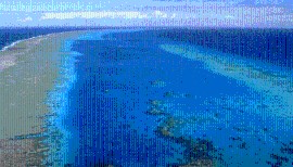 La Barriera Corallina Australiana: un prezioso gioiello da salvare