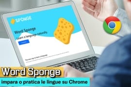 Word Sponge: impara o pratica le lingue su Chrome