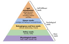 Piramide dei Bisogni di Maslow: Psicologia sul Lavoro