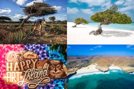 5 giorni ad Aruba, mini guida per un itinerario perfetto