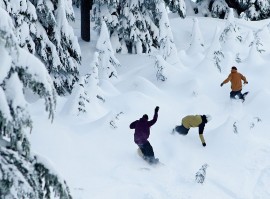 Le tavole da snowboard: una guida completa per la scelta perfetta