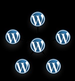 Cos’è WordPress Multisite