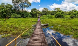Un viaggio nel cuore dell'ecoturismo brasiliano