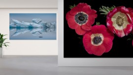 LG e BLACKDOVE offrono esperienze di arte digitale sui display Led di LG