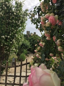 I giardini di rose più belli in Emilia-Romagna