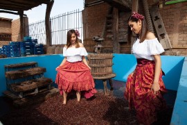 La festa della Vendemmia in Perù: origini e tradizioni