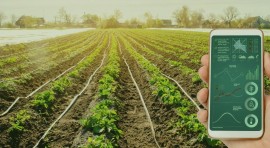 Agricoltura di precisione: cosa offrono oggi le aziende di concimi e fertilizzanti