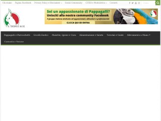 Screenshot sito: Iltrespolo.com
