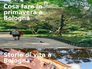 Screenshot sito: Bologna Welcome