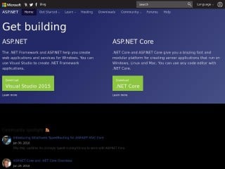Screenshot sito: Asp.net