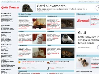 Screenshot sito: Gattipersiani.it