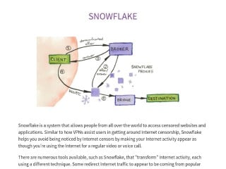Screenshot sito: Snowflake