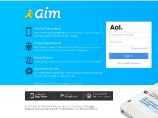 Screenshot sito: AIM