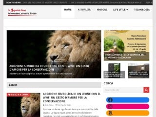 Screenshot sito: La Ragnatela News