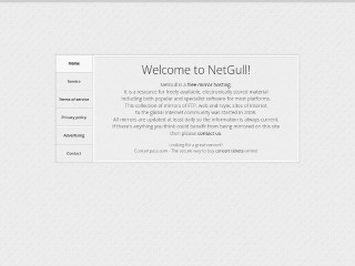 Screenshot sito: Netgull