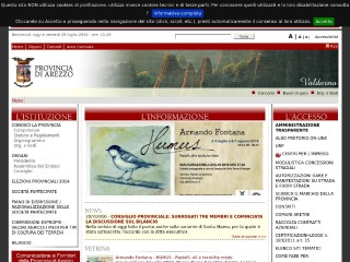 Screenshot sito: Provincia di Arezzo