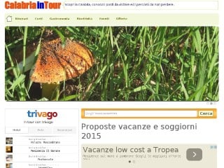 Screenshot sito: Calabriaintour.it