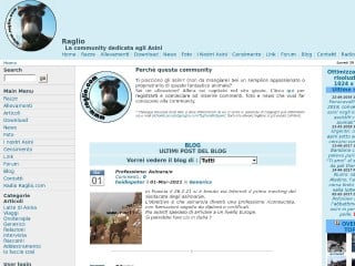 Screenshot sito: Raglio.com