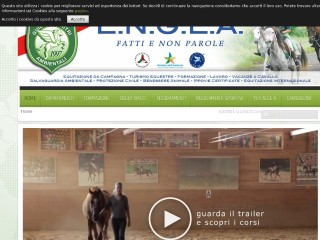 Screenshot sito: Guide Equestri