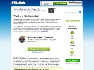 Screenshot sito: Filext.com