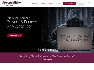 Screenshot sito: Syncplicity